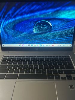 Hp chrome laptop