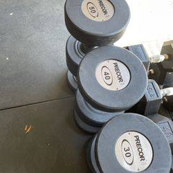 210lb Precor Dumbbell Set