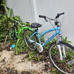 Dual Person Bike