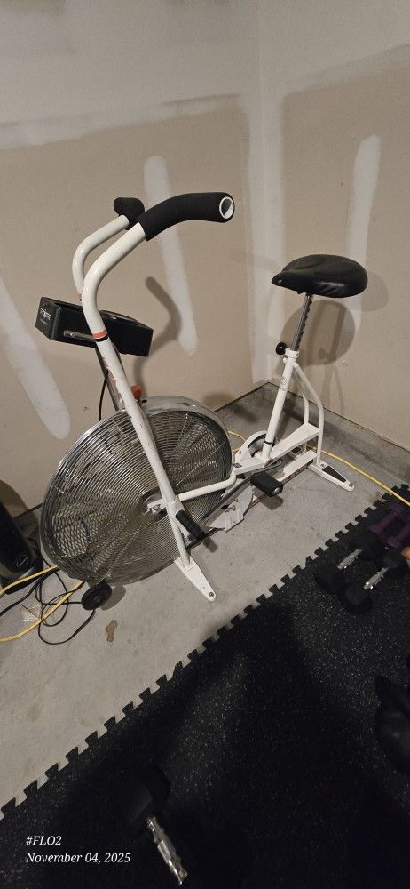 Vintage Scwhin Air Dyne