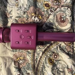 Microphone Speaker
