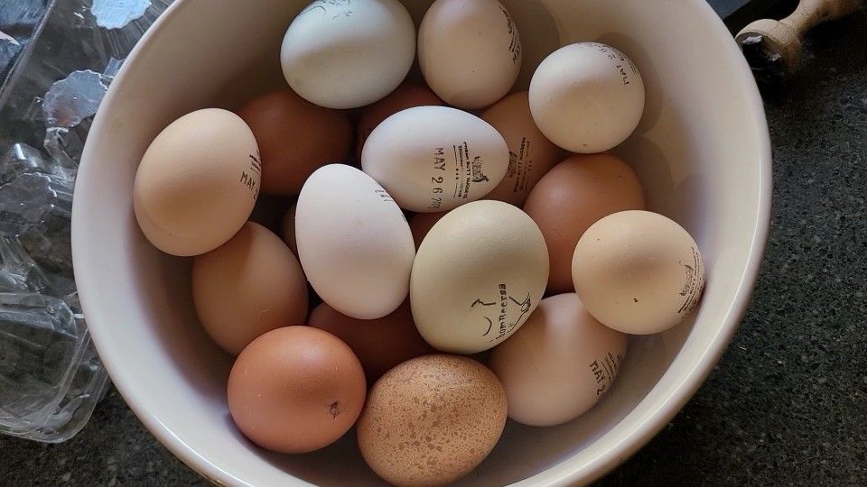..eggs...eggs...eggs
