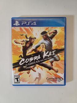 Ps4 ps5 game ..cobra Kai saga continues!!