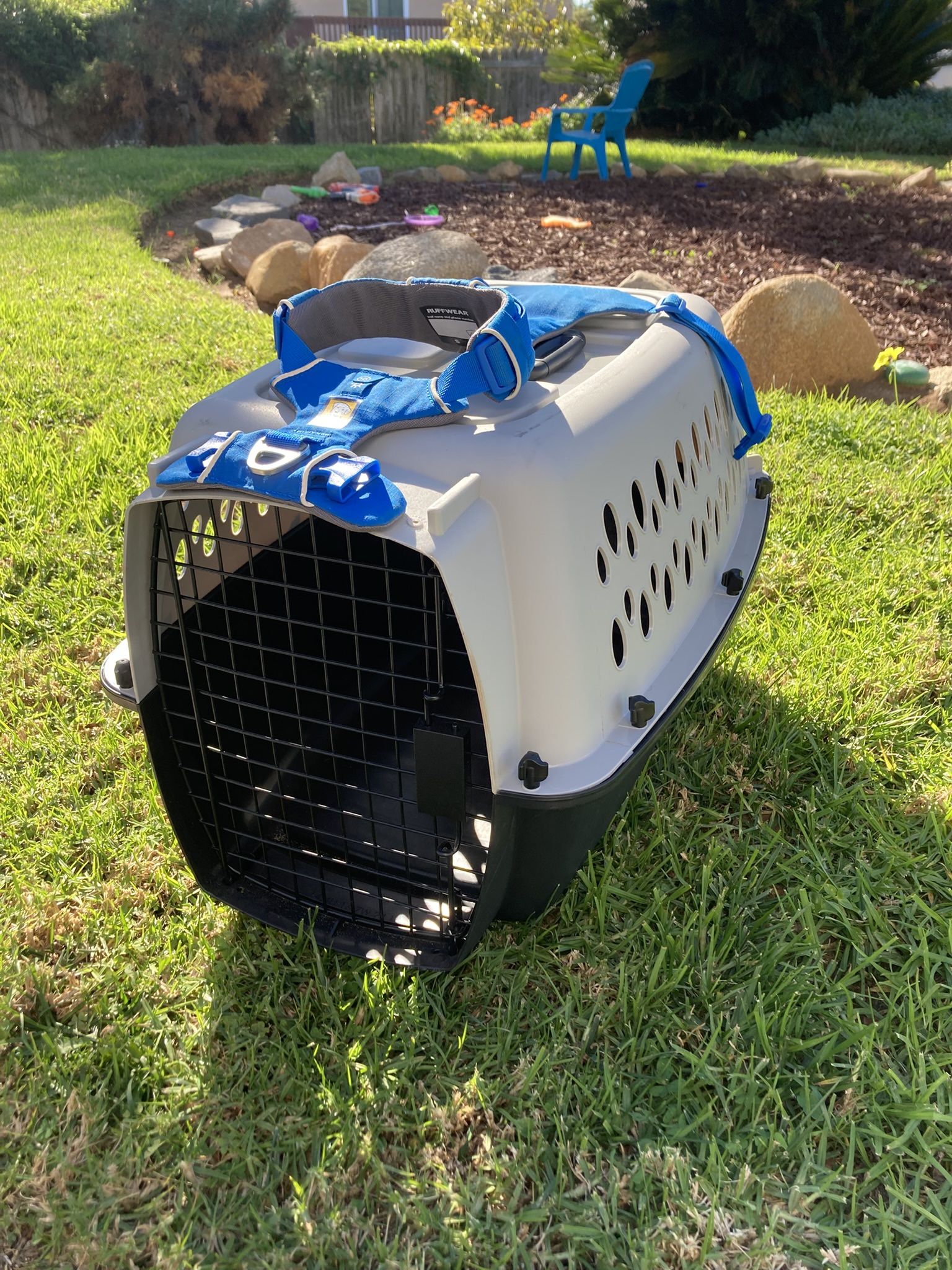 Small Dog Crate And Two Point Harness