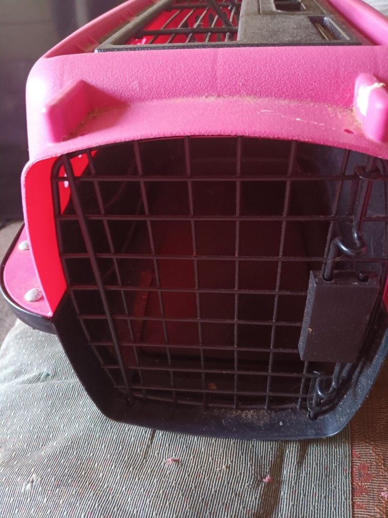 Pet Carrier