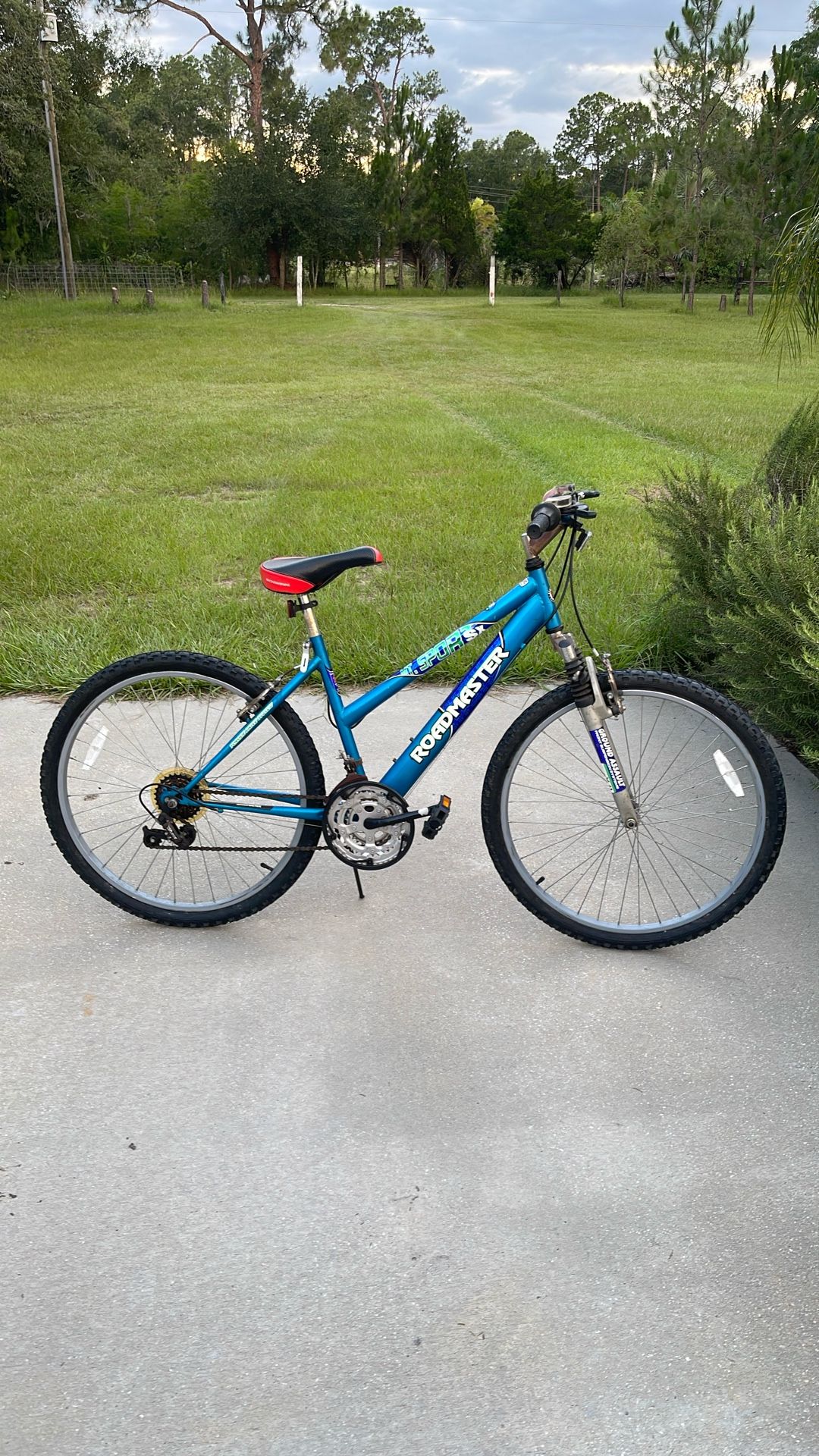 Road Master Road Bike