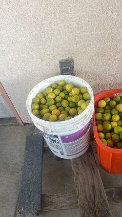 Limones/lemons