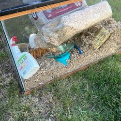 Free Hamster Tank