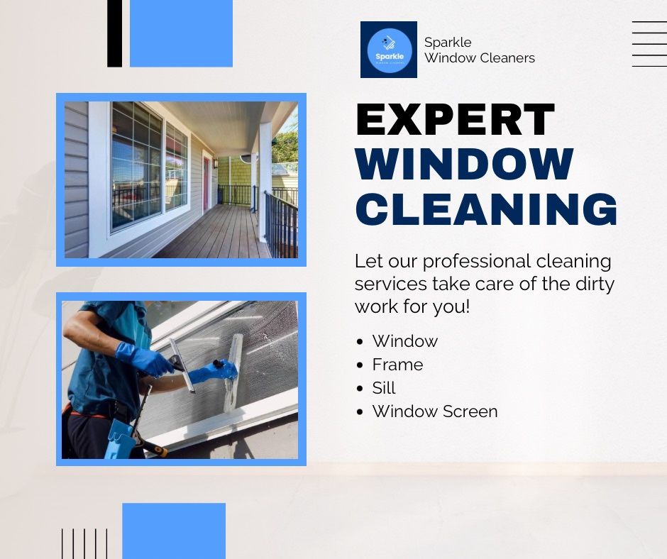 Window Cleaning Service