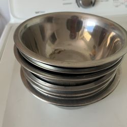 Dog Plates 
