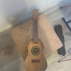Ukelele Barely Used $3