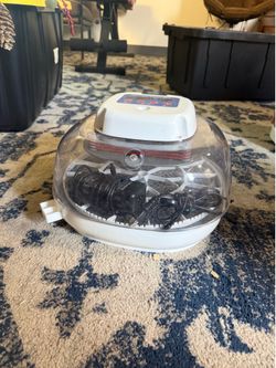 Automatic egg incubator