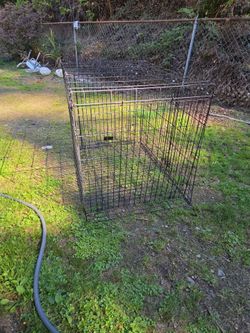 Wire crate