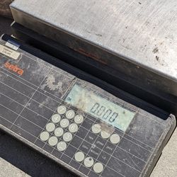 Sentra Scale