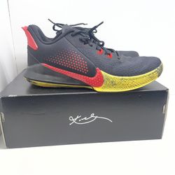 Nike Mamba Fury Bruce Lee Shoes 205894/11