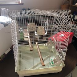 Bird Cage 
