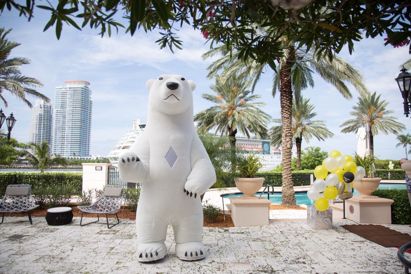 Polar Bear, Birthday character,entertainment for kids