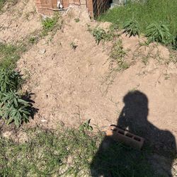FREE DIRT