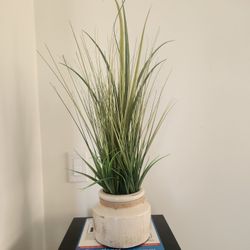Faux Plant
