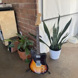 Electric Guitars, Vox Amp and Premium Guitar Pedals – Perfect for Players of All Levels