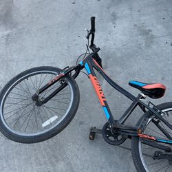 Giant Bicicleta