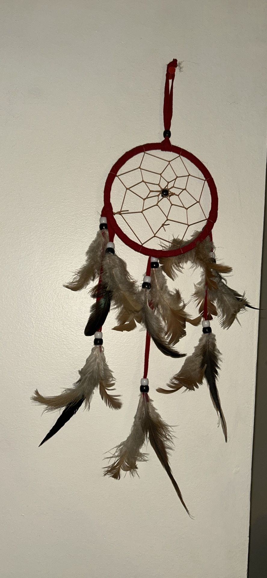Dream Catcher