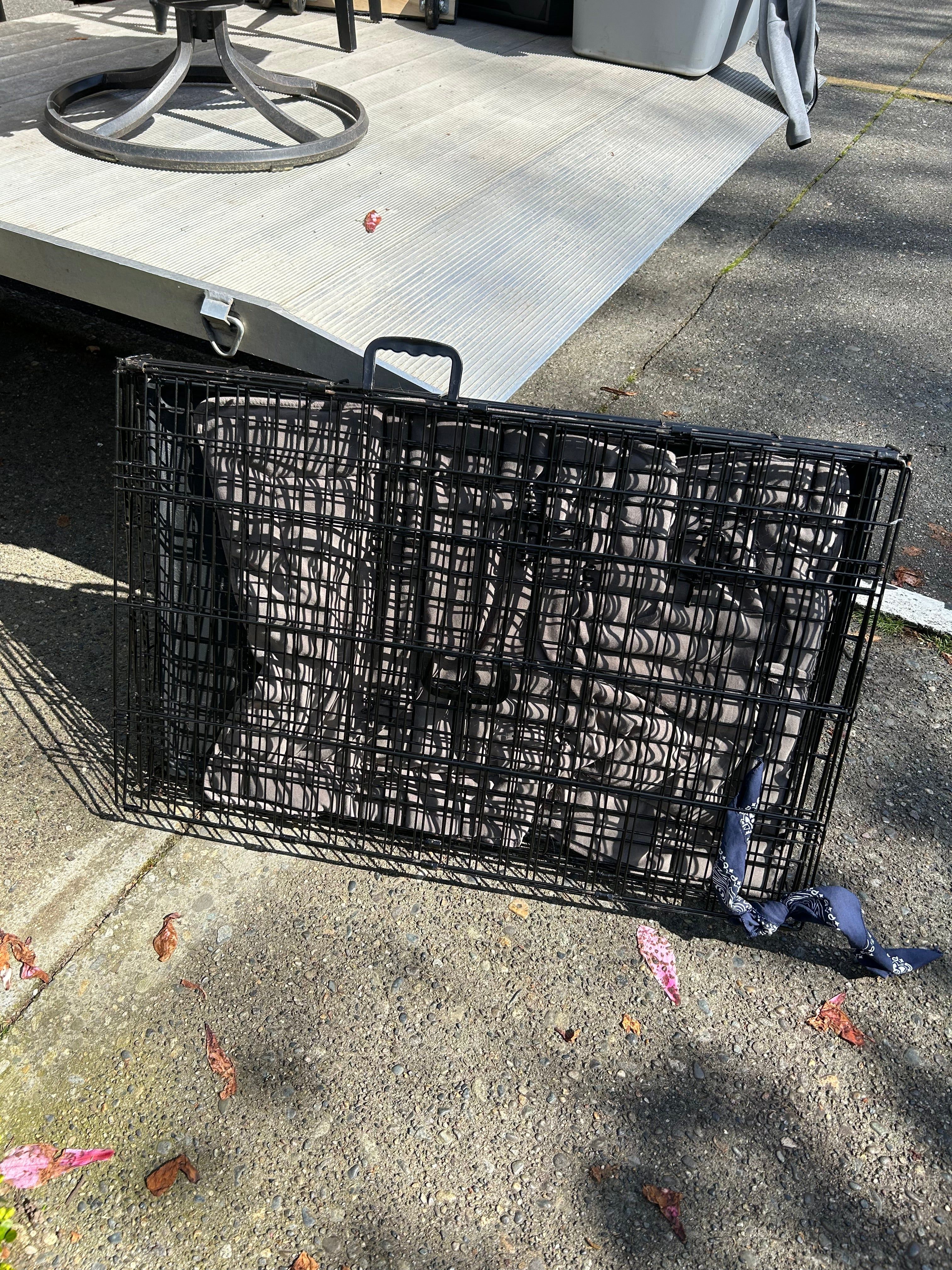 Medium Wire Dog Crate with Cushion