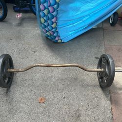 Curl Bar With Two Plates 