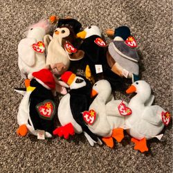 8 Ty Birds Collectible