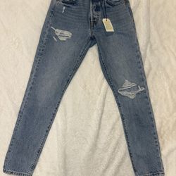 Levi’s Premium 501 Skinny Jeans 