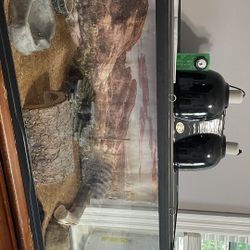 Reptile Tank 