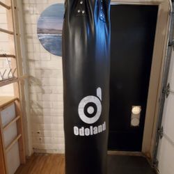 Punching Bag