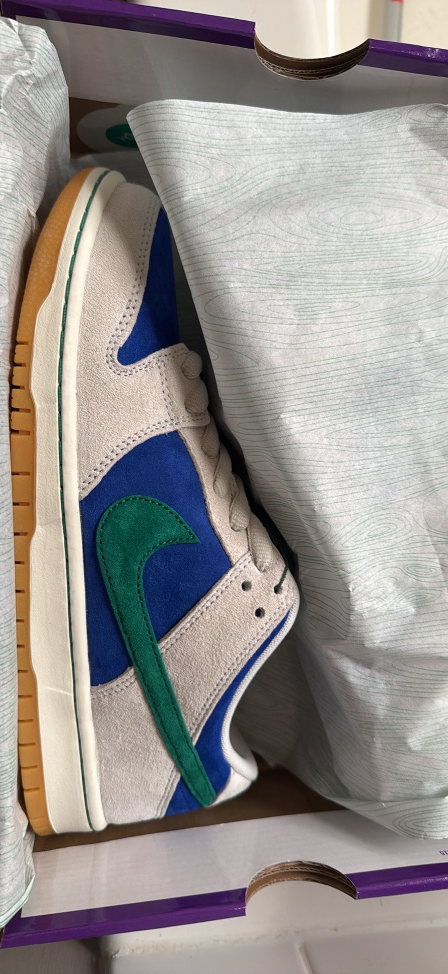 Nike Dunk SB