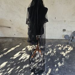 Black Veil