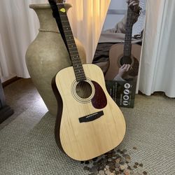 Cort Acoustic Guitar Earth Pack Bundle