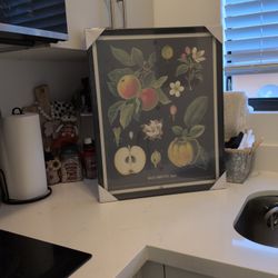 Julia Trigg Kitchen Decor - Unused