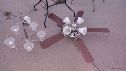 Celling fans each $30