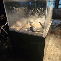 2 Large Aquariums With Stands