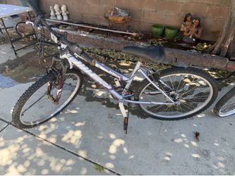 Bicicleta arrumbada