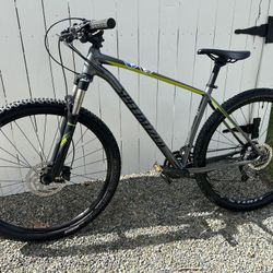 Specialized Rockhopper Mountain Bike