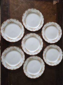Set of 7 Regina Vintage Floral Porcelain Dinner Plates
