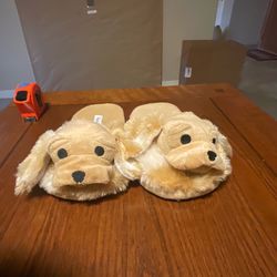Slipper dog