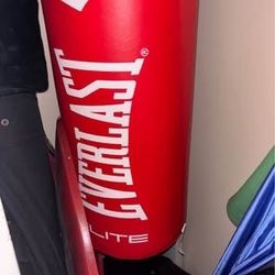 Standing Punching bag W/ gloves