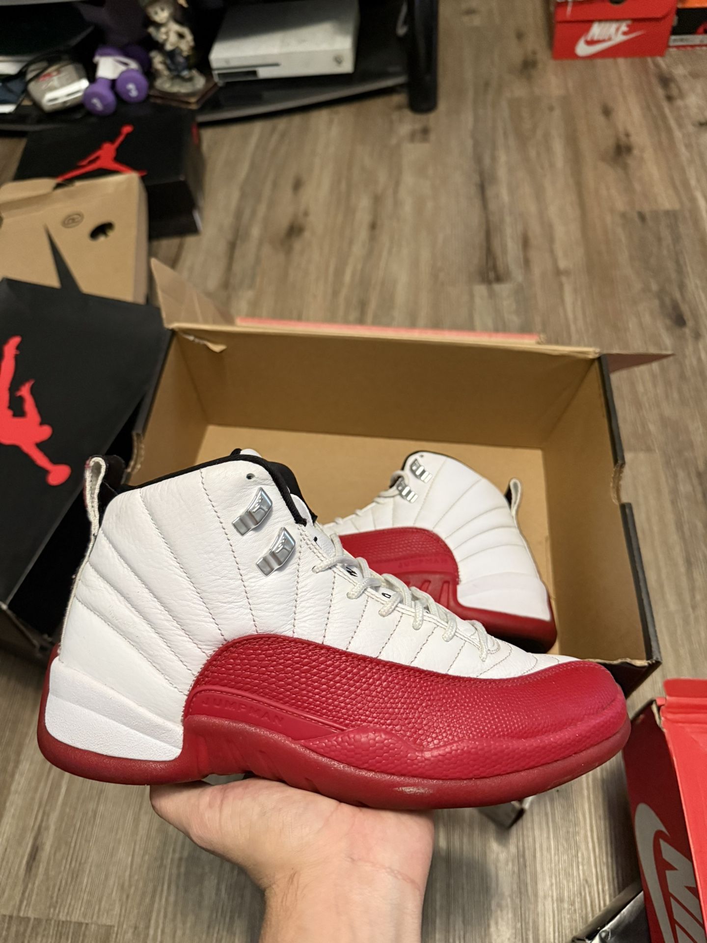 Jordan 12 Flu Game