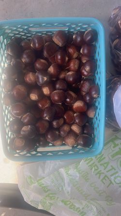 Fresh Chestnuts for sale! 