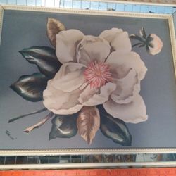 Vintage Wall Art X 12