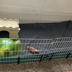 Guien Pig Midwest Cage, Small Cage And Fleece, Water Bottles