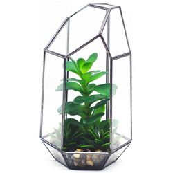 9.8” H Geometric Air Plant Terrarium 