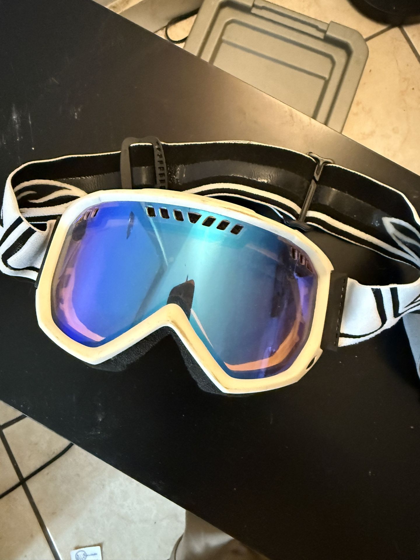 Snowboard/Ski Goggle