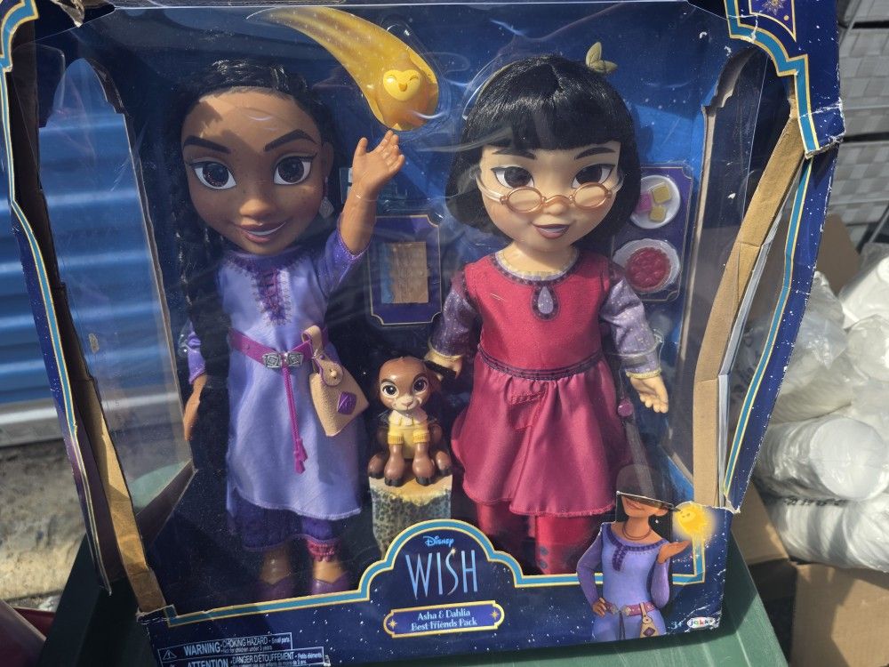 Disney Wish Asha and Dahlia Best Friends Pack Doll Set